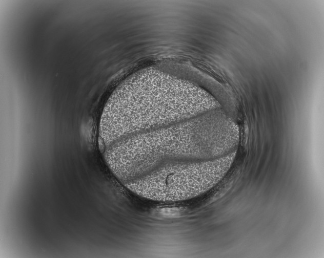 X0000095530228200801111419