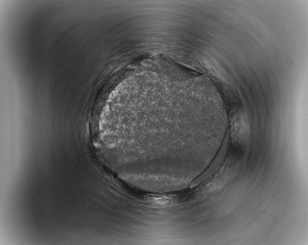 X0000095530229200801111419