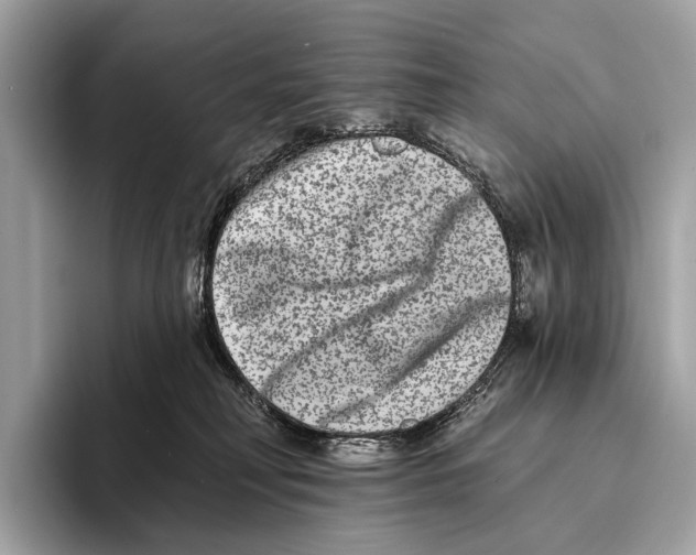 X0000095530230200801111419