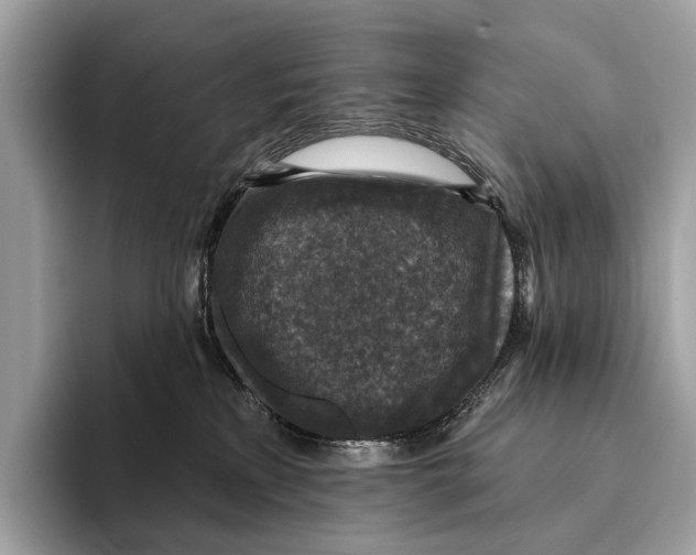 X0000095530233200801111419