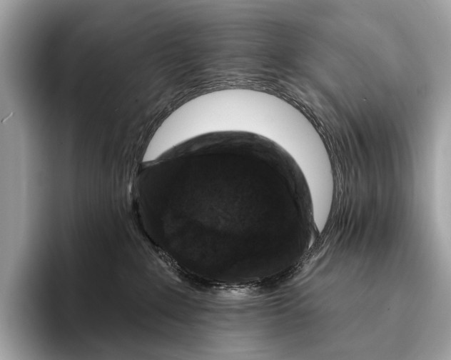 X0000095530235200801111419