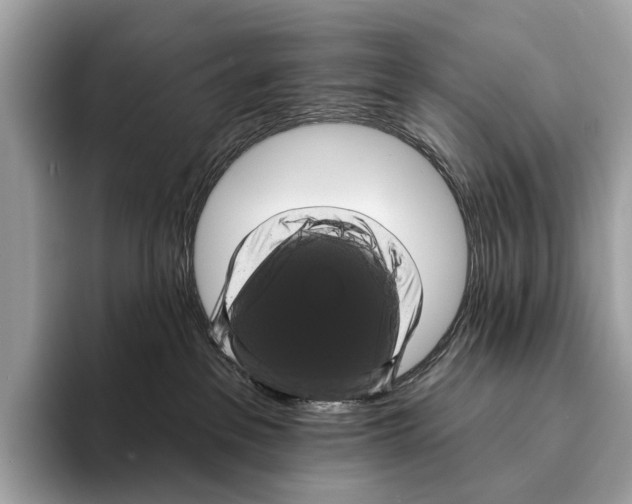 X0000095530237200801111419