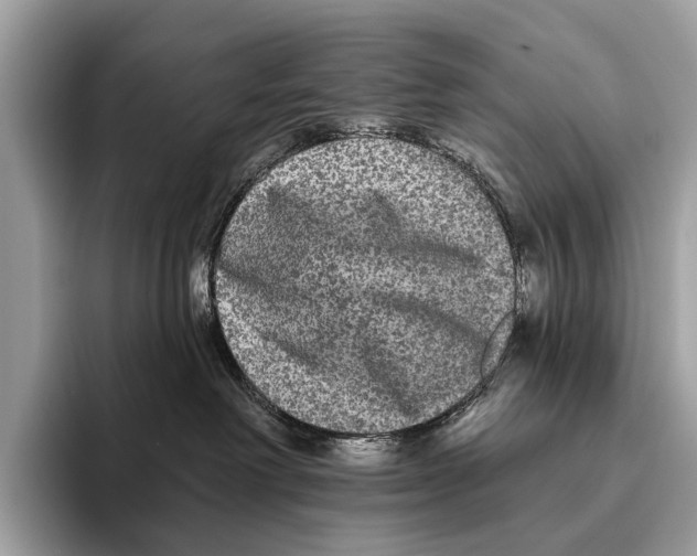 X0000095530238200801111419