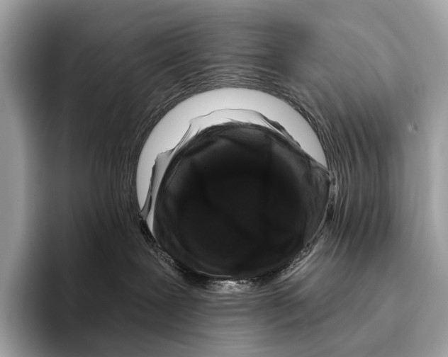 X0000095530239200801111419