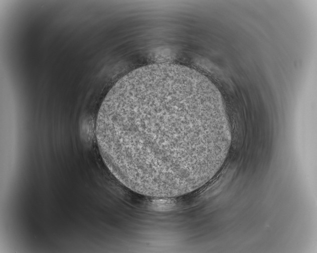 X0000095530240200801111419