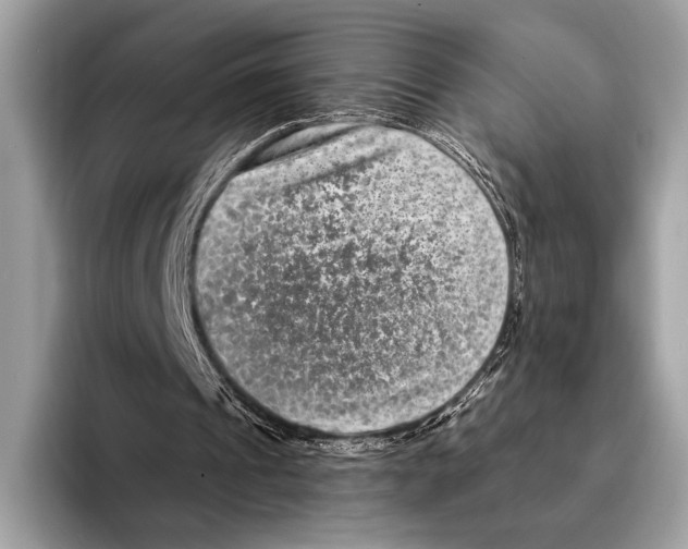 X0000095530241200801111419