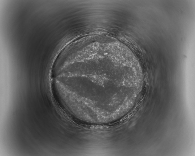 X0000095530242200801111419