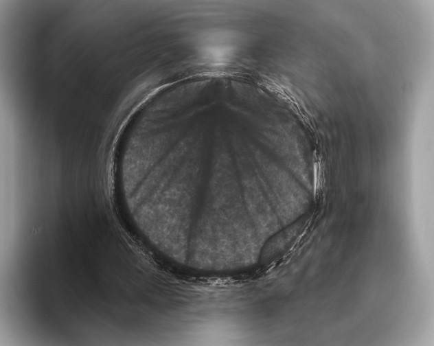 X0000095530243200801111419