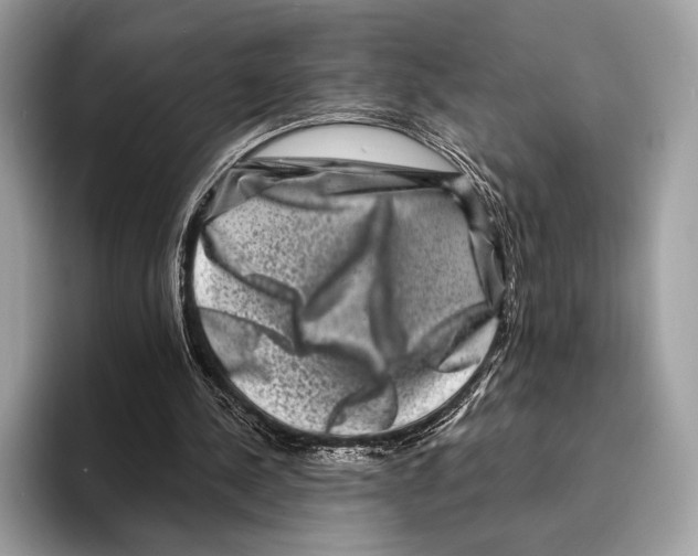 X0000095530244200801111419