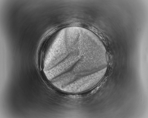 X0000095530245200801111419