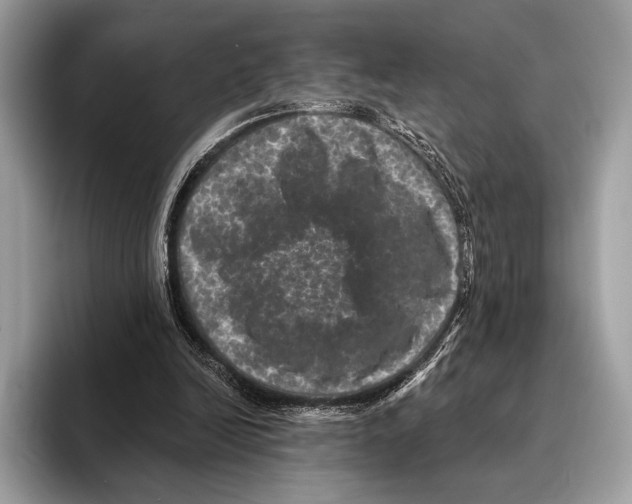 X0000095530246200801111419