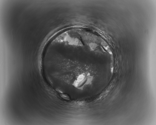 X0000095530247200801111419