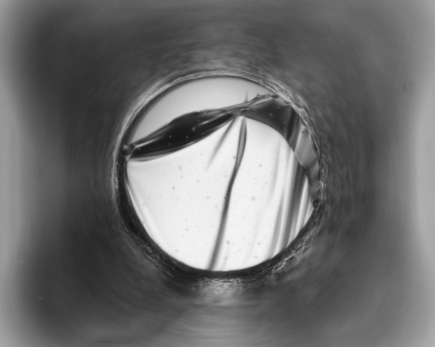 X0000095530248200801111419