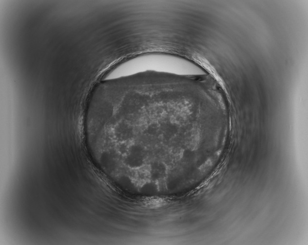 X0000095530249200801111419