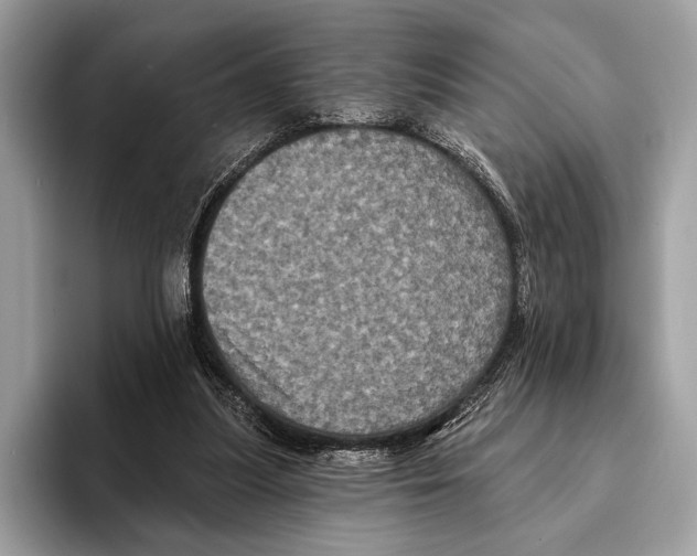 X0000095530251200801111419