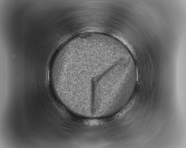 X0000095530253200801111419