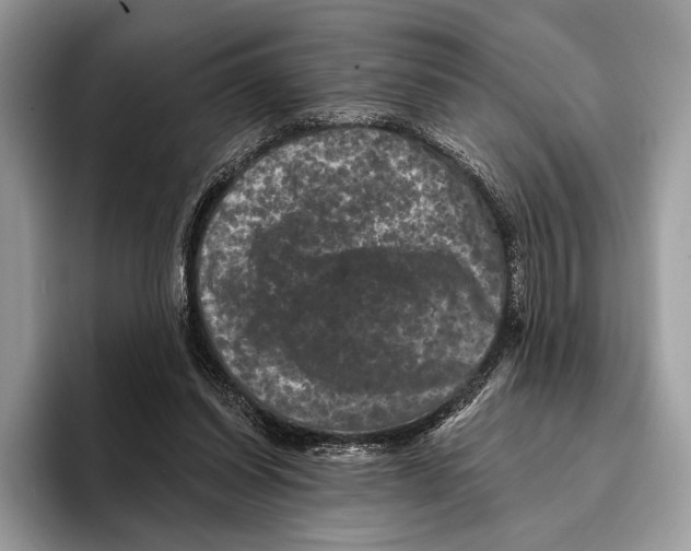 X0000095530254200801111419