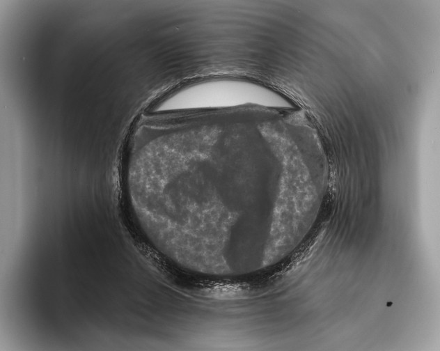 X0000095530256200801111419