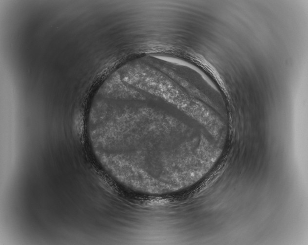 X0000095530257200801111419