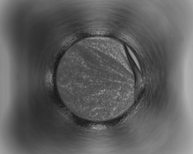 X0000095530258200801111419