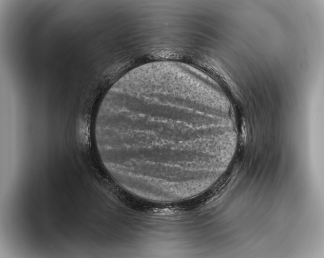 X0000095530259200801111419