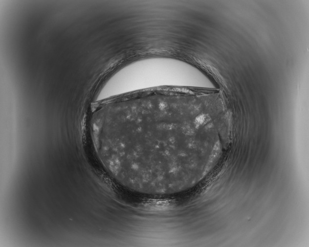 X0000095530260200801111419