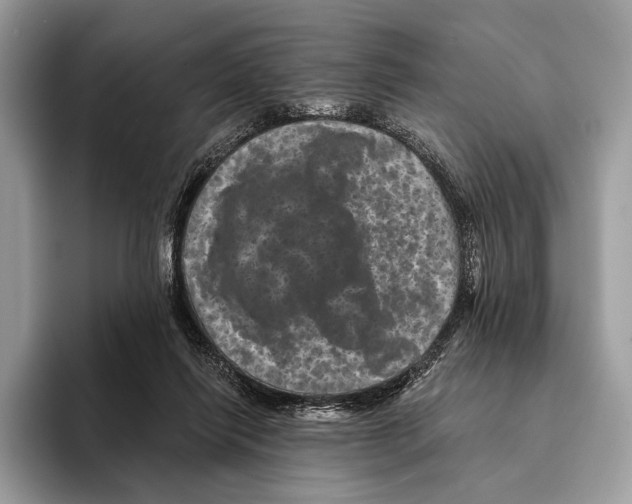 X0000095530262200801111419