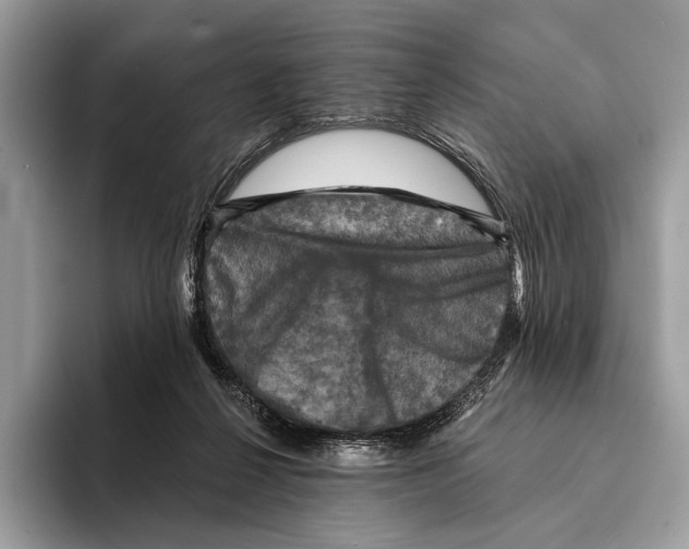 X0000095530264200801111419