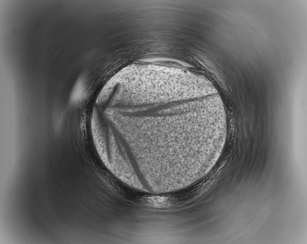 X0000095530265200801111419