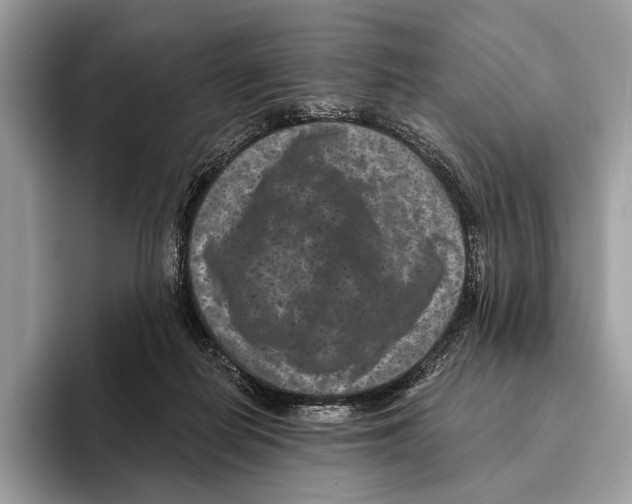 X0000095530266200801111419