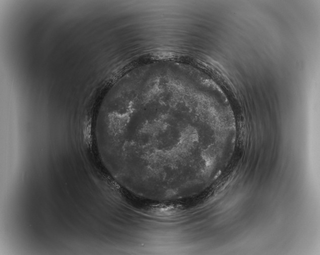 X0000095530267200801111419