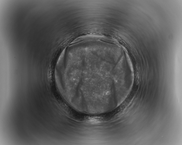 X0000095530268200801111419