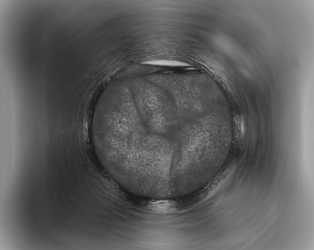 X0000095530269200801111419