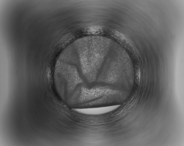 X0000095530270200801111419