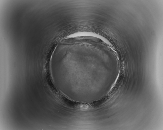 X0000095530272200801111419