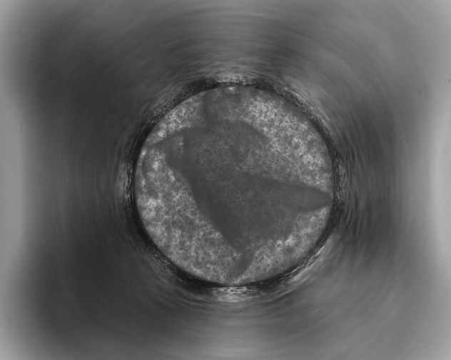 X0000095530273200801111419