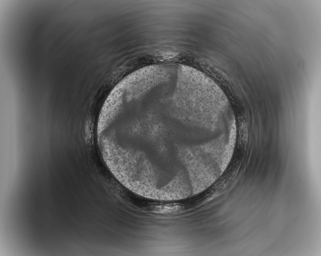 X0000095530274200801111419