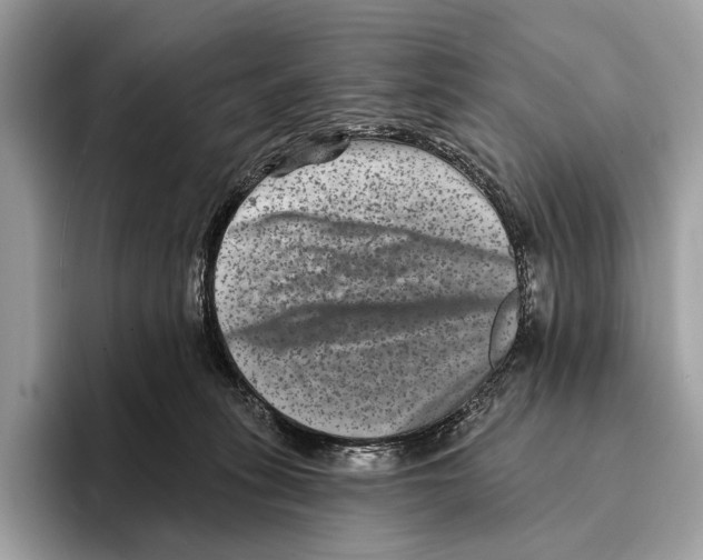 X0000095530275200801111419