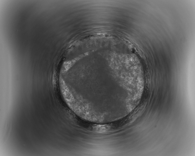 X0000095530277200801111419