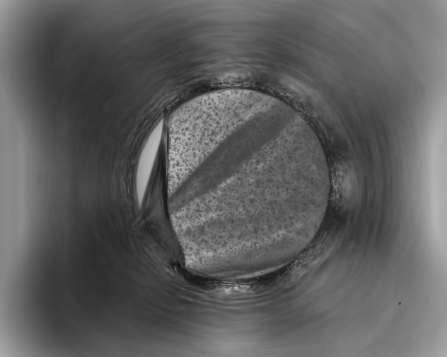 X0000095530278200801111419