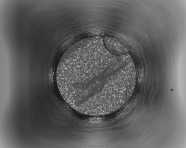 X0000095530279200801111419