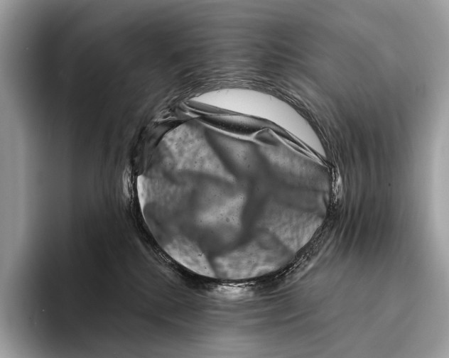 X0000095530280200801111419