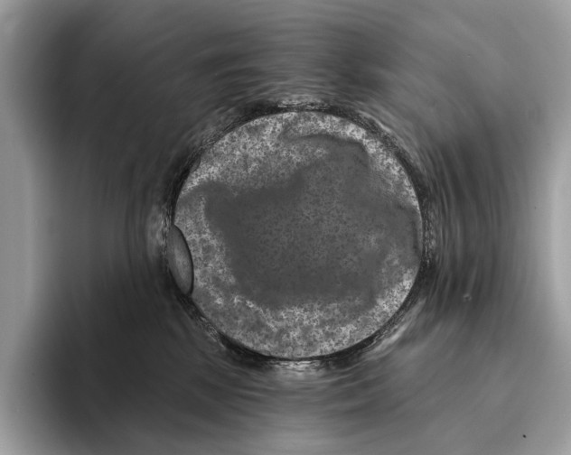 X0000095530281200801111419