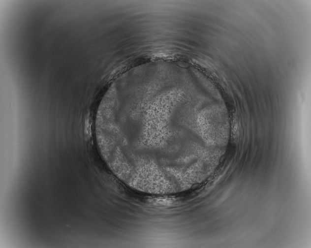 X0000095530282200801111419