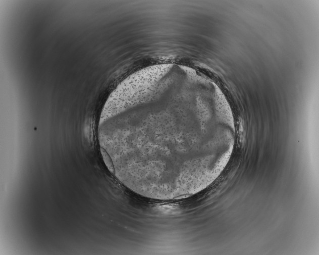 X0000095530283200801111419