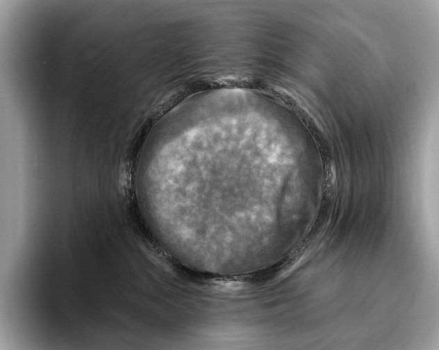 X0000095530284200801111419