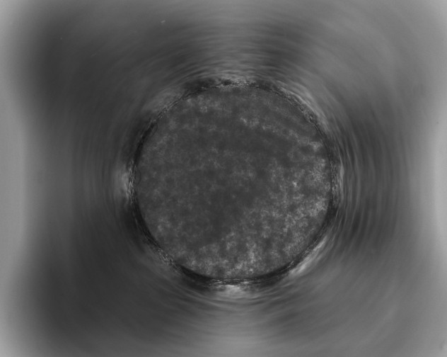 X0000095530285200801111419