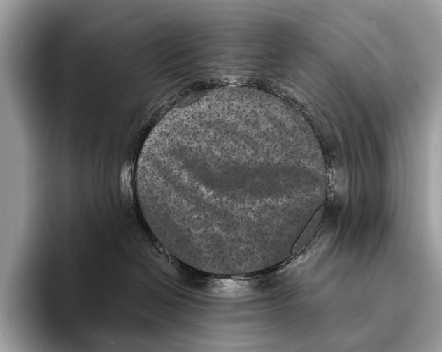 X0000095530286200801111419