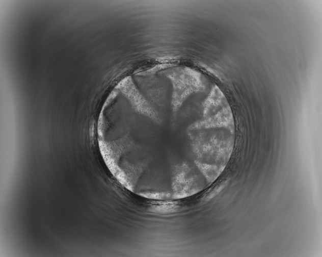 X0000095530288200801111419