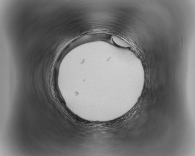 X0000095530289200801111419